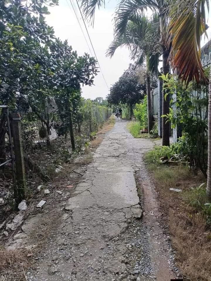 Đất nền Hậu Vinh, Hậu Thành, Cái Bè 200m² giá 800 triệu - Cơ hội đầu tư hấp dẫn!