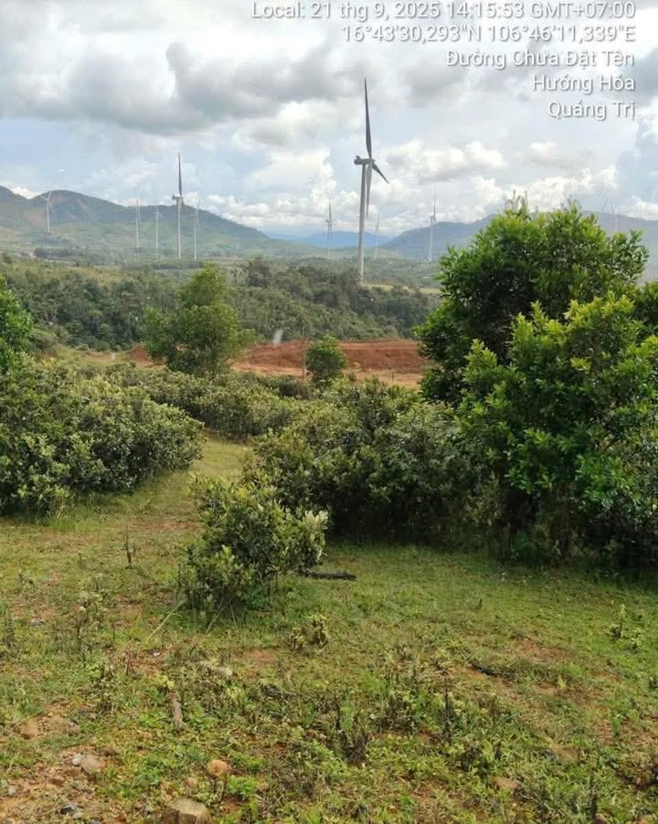 Đất Hướng Phùng Huyện Hướng Hóa 1,6ha giá chỉ 200 triệu - Sổ hồng công chứng ngay!