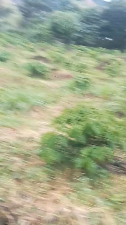 Farm Xã Đăk Sma, Huyện Kbang 11ha giá 4.2 tỷ - Cơ hội đầu tư hấp dẫn!