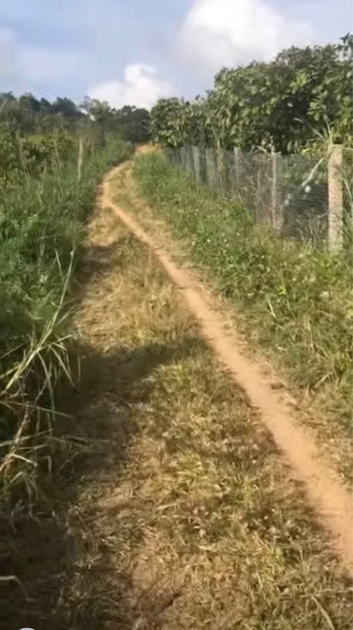 Đất thổ cư 1800m² tại Thôn 13, Xã Ea Đar - Giá tốt chỉ 750 triệu!