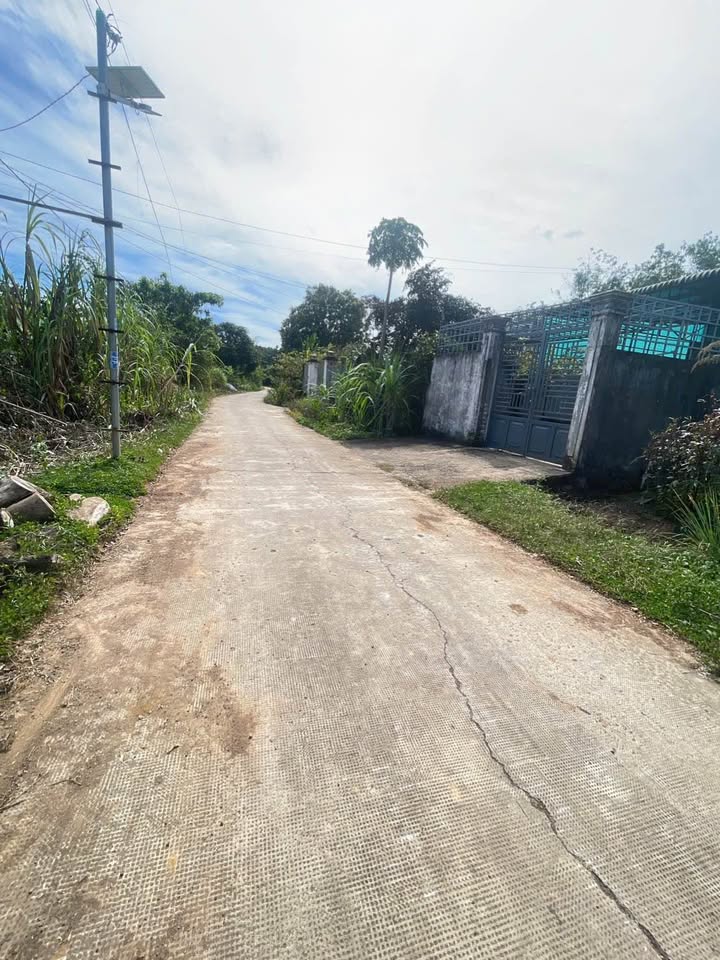 Farm đất Lộc Hưng 10.900m² giá 1.2 tỷ - Mặt tiền 10m, gần QL14!