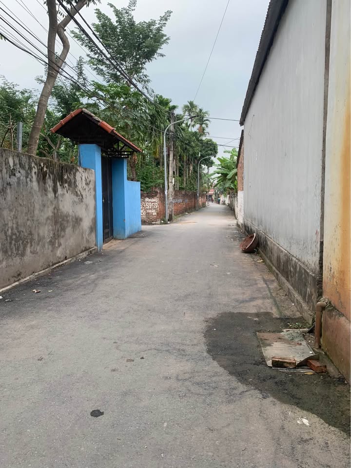 Đất thổ cư 100m² Thị trấn Đạo Đức - Bình Xuyên giá 2.1 tỷ - Vị trí thuận lợi gần chợ