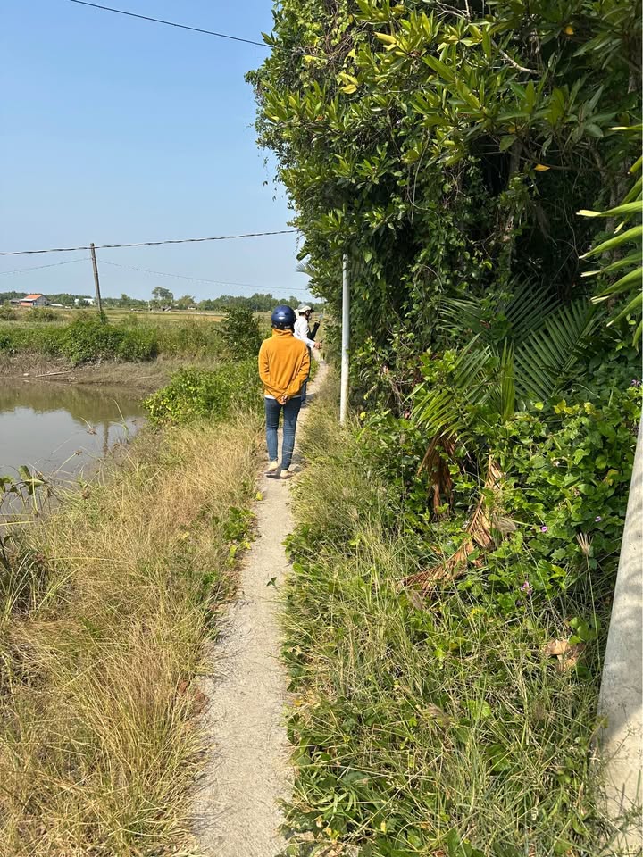 Nhà lầu mặt tiền Phước Hậu, Cần Giuộc 139m² giá 3.25 tỷ - Thiết kế hiện đại, tiện nghi!