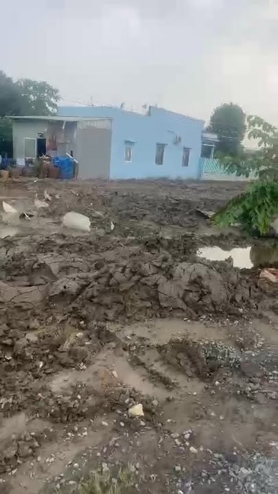 Đất thổ cư xã Phước Tuy, Cần Đước, 979m² giá 5.5 tỷ - Đầu tư sinh lời!