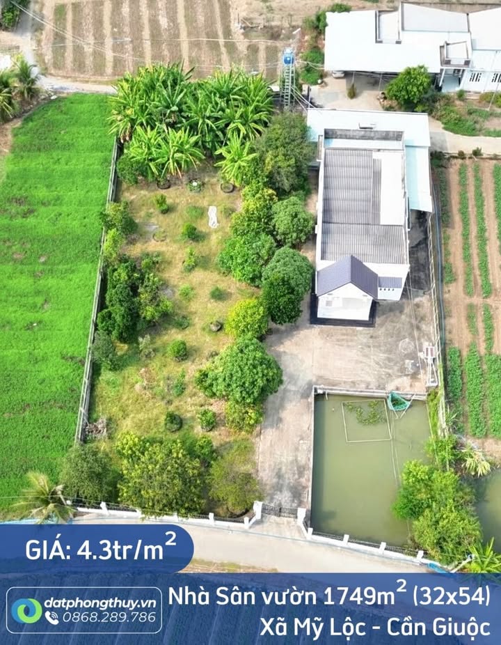 Nhà vườn Cần Giuộc 1.749m² giá 7.5 tỷ - Không gian thoáng mát, đầu tư sinh lời!