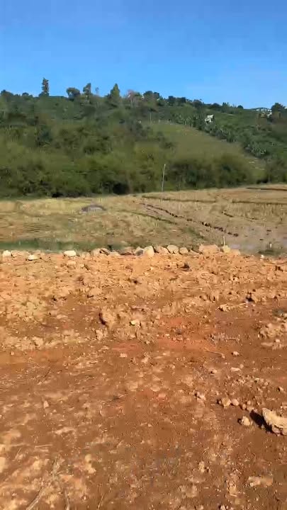 Đất nền Gung Ré, Di Linh 240m² giá chỉ 570 triệu - Đầu tư sinh lời ngay!