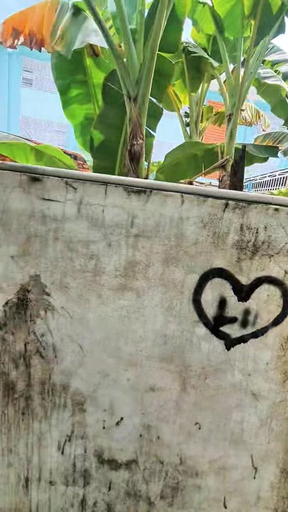 Đất thổ cư Phú Tài, Phan Thiết 140m² giá 1.55 tỷ - Vị trí đắc địa chỉ 100m đường Lê Duẩn!