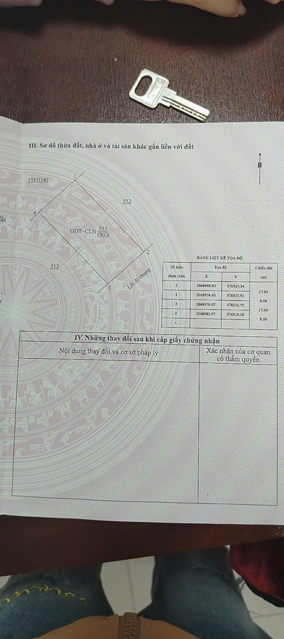 Đất nền Thị trấn Nam Đàn 150m² giá 100 triệu - Cơ hội đầu tư hấp dẫn!