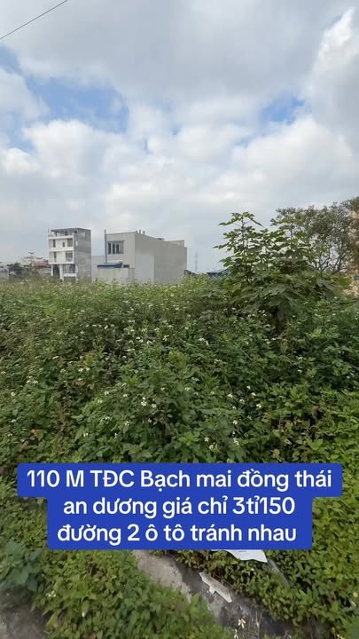 Đất nền TĐC Bạch Mai, Hải Phòng 100m² chỉ 3.15 tỷ - Vị trí đắc địa!