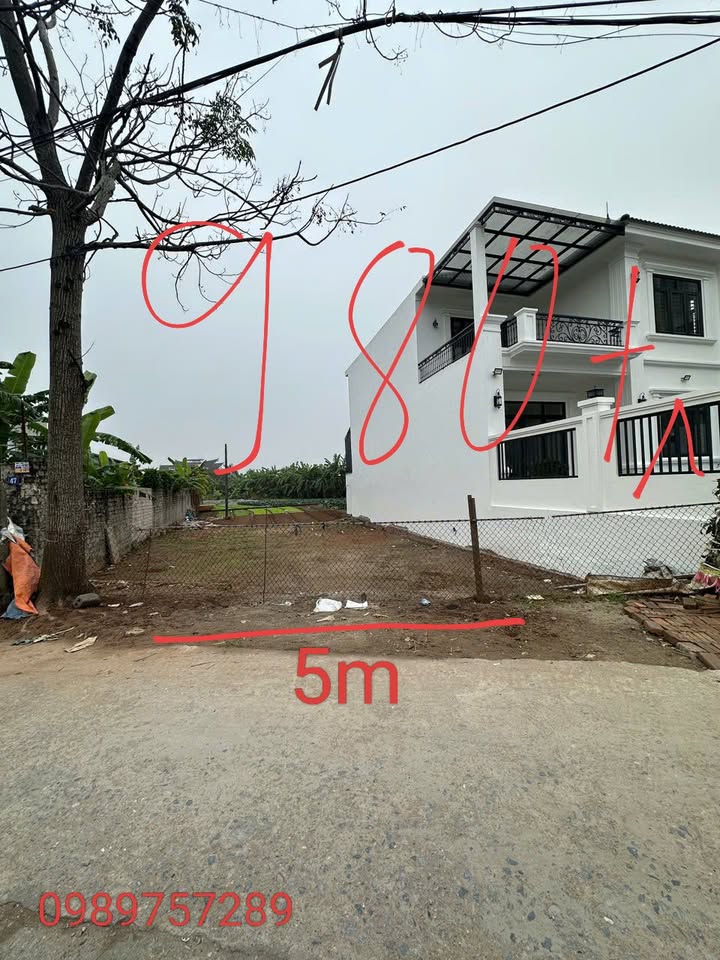 Đất chính chủ mặt tiền 5m tại Thị trấn Lâm 110m² - Giá thỏa thuận hấp dẫn!