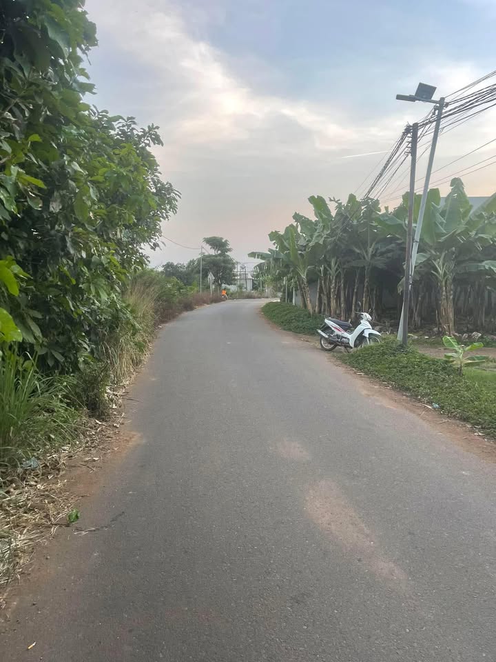 Đất mặt tiền đường nhựa Bàu Hàm, Trảng Bom, 504m² giá 1,5 tỷ - Cơ hội đầu tư hấp dẫn!