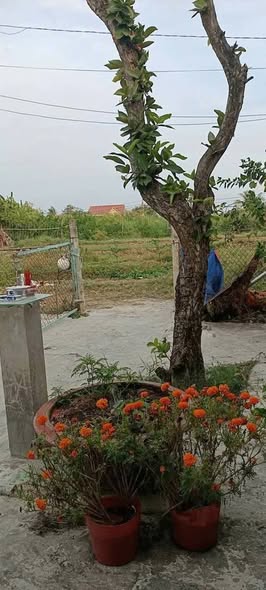 Nhà cho thuê An Phú Tây, Bình Chánh 2PN giá 3.5 triệu - Không thể bỏ lỡ!