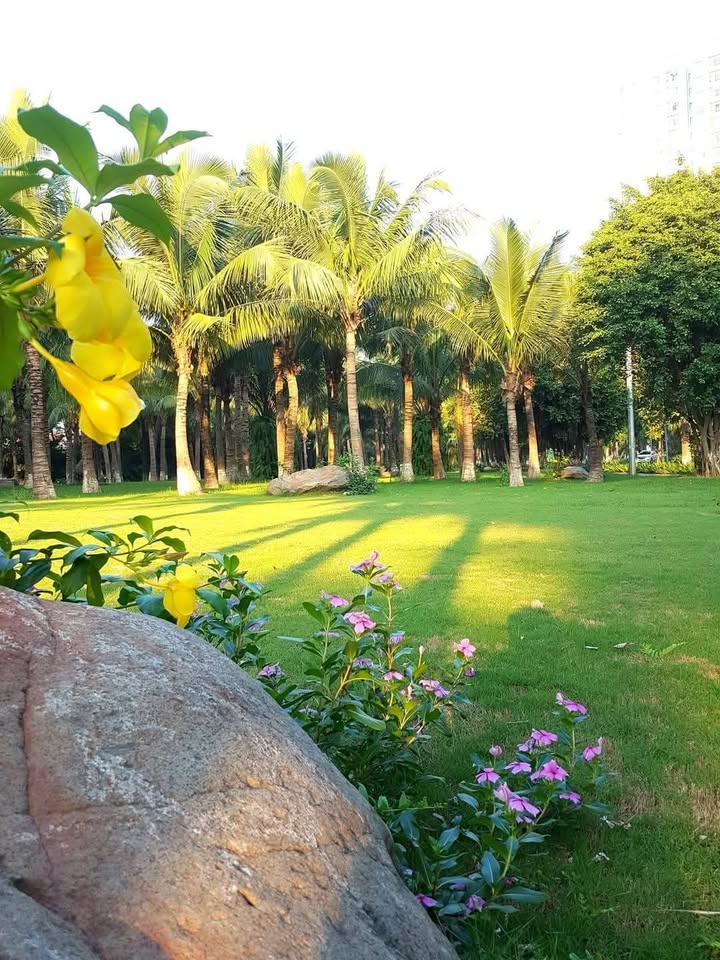 Căn hộ Rừng Cọ Hưng Yên 71m² giá 3.8 tỷ - Nội thất đầy đủ, sẵn sàng vào ở!