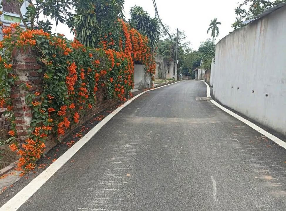 Đất thổ cư xã Mê Linh, 80m² giá 2 tỷ - Sổ đỏ chính chủ, đầu tư sinh lời!