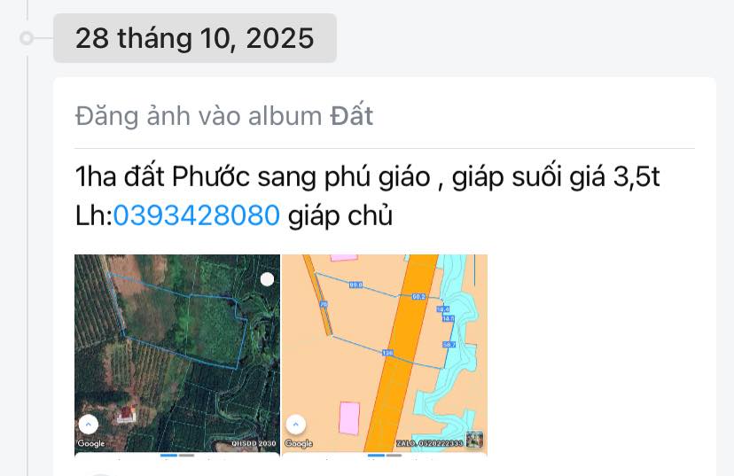 Đất nền Farm 1ha tại Xã Phước Sang, Huyện Phú Giáo - Giá chỉ 2.8 tỷ, cơ hội đầu tư tuyệt vời!