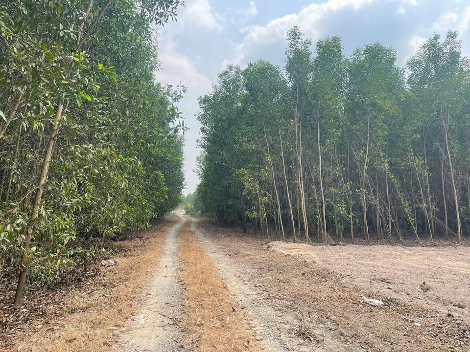 Lô đất vườn xã Phước An, 3561m² giá 1.9 tỷ - Đường xe tải né nhau