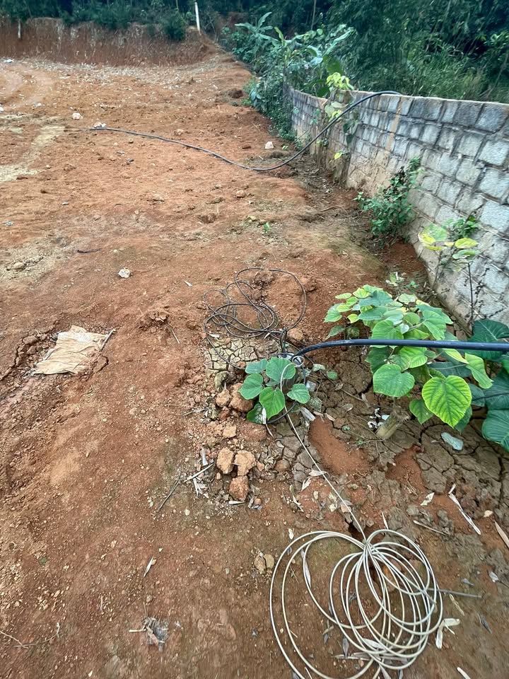 Lô đất 1000m² tại Vĩnh Tiến, Kim Bôi chỉ 4.5 tỷ - Sổ đỏ chính chủ