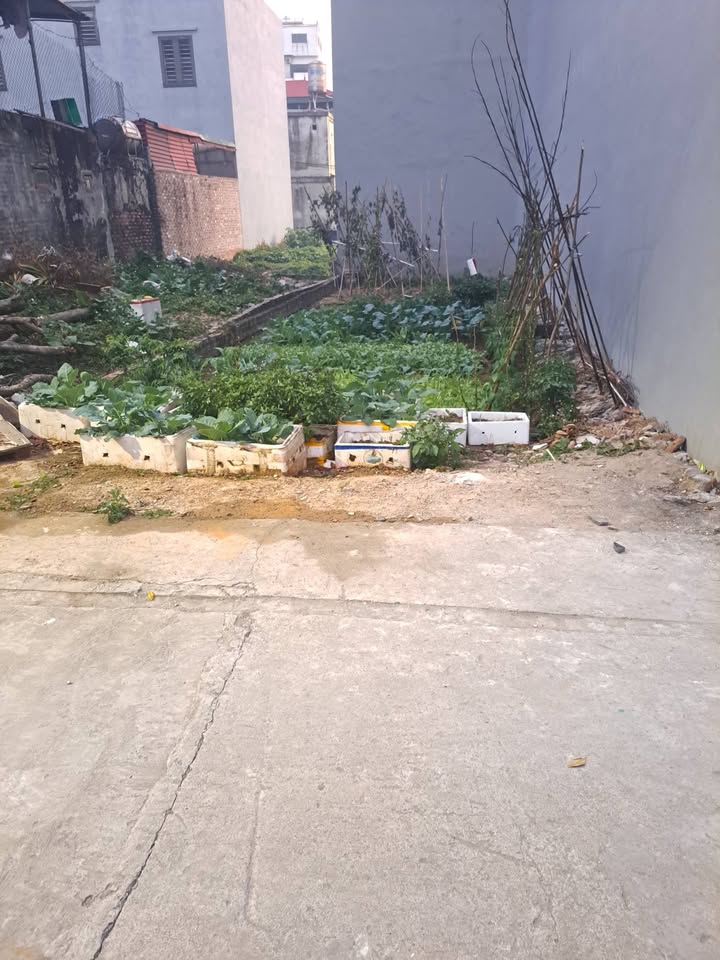 Đất nền Xã Mê Linh, Huyện Mê Linh, 59.6m² giá 3.2 tỷ - Vị trí đắc địa gần KCN Quang Minh!