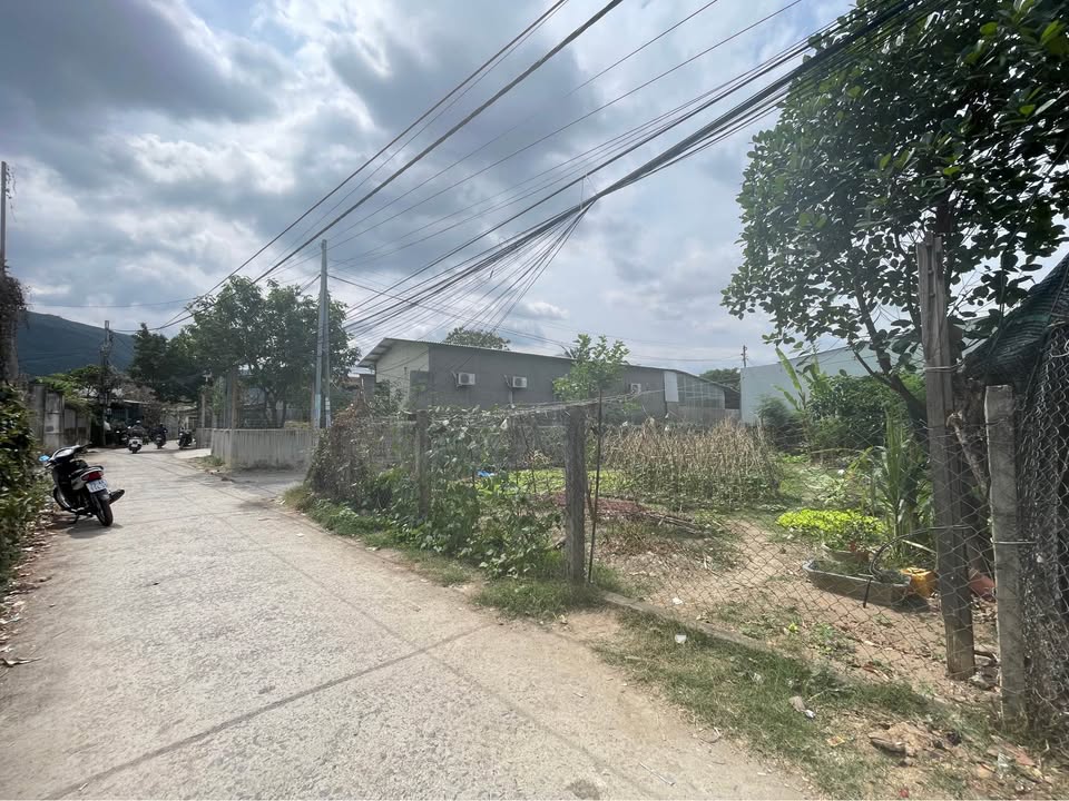 Đất thổ cư 211m² tại thôn Phước Trạch, Diên Khánh - Giá chỉ 3.5 tỷ!