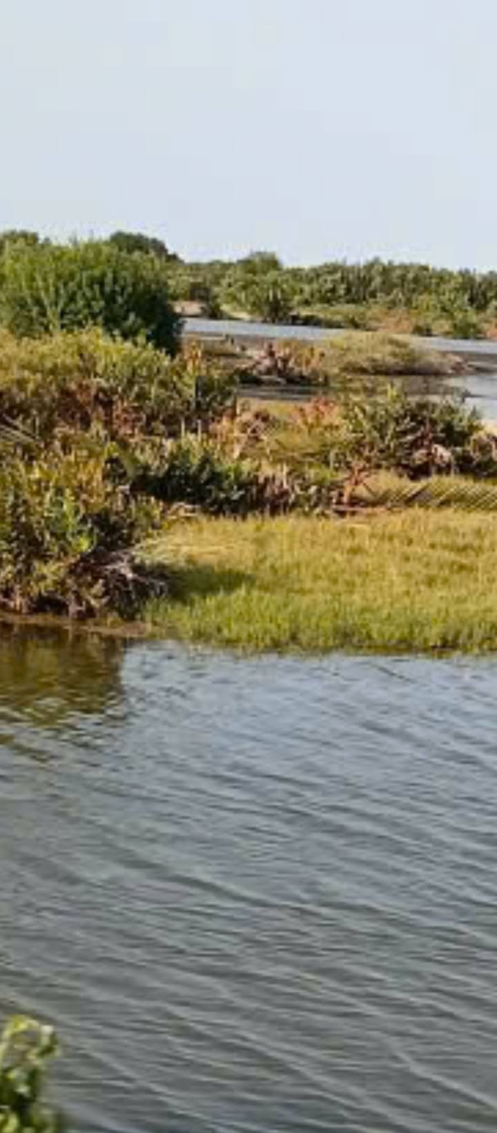 Đất nuôi trồng thủy sản Trường Long Hòa 22,320m² - Cơ hội đầu tư hấp dẫn!