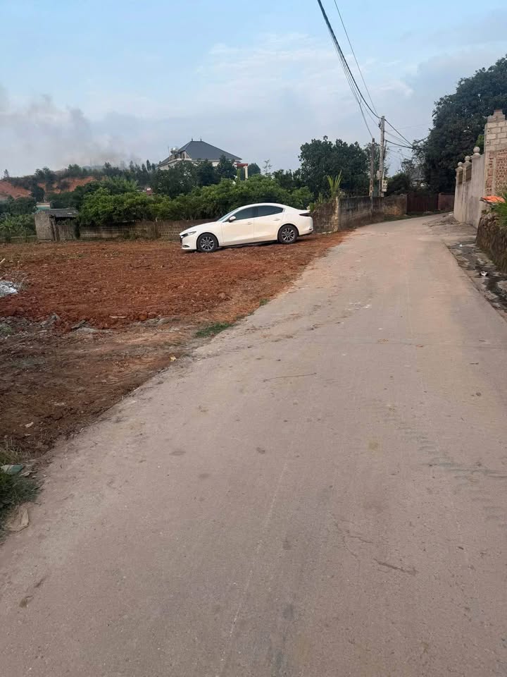 Đất thổ cư 500m² tại Thôn Triệu, Xã Đan Hội, Huyện Lục Nam - Đầu tư sinh lời hấp dẫn!