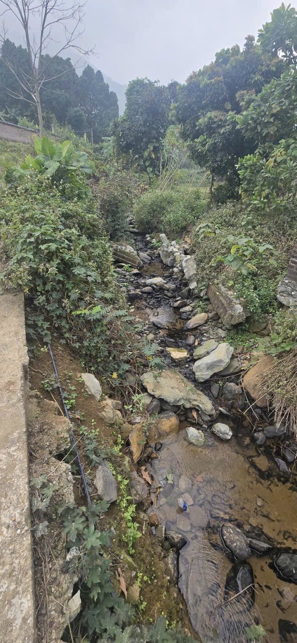 Lô đất nghỉ dưỡng Liên Hòa, Lương Sơn 1.000 m² - View suối tuyệt đẹp, giá hạt dẻ!