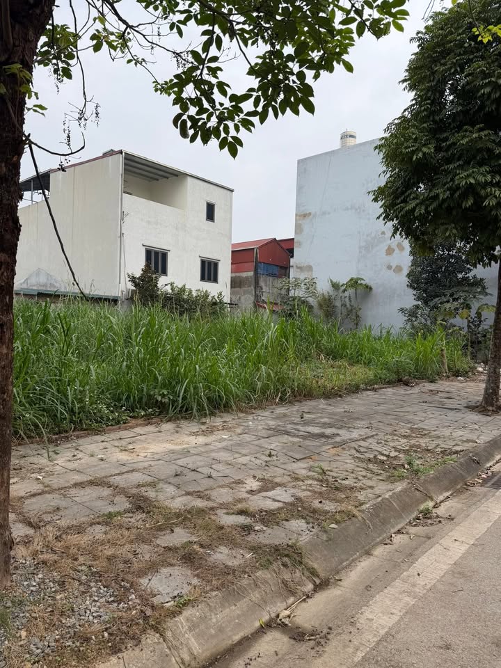 Đất thổ cư 67m² tại thị trấn Lương Sơn - Giá tốt, cơ hội đầu tư hấp dẫn!