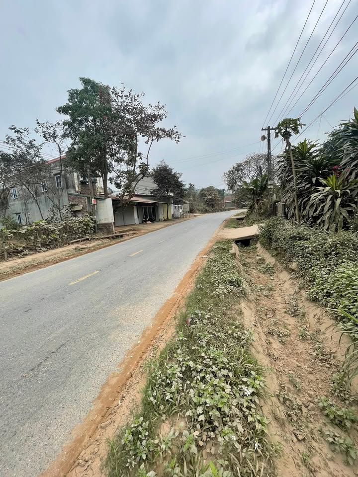 Đất thổ cư 192m² tại Thạch Khoán, Thanh Sơn - Giá 1 tỷ, đầu tư sinh lời!