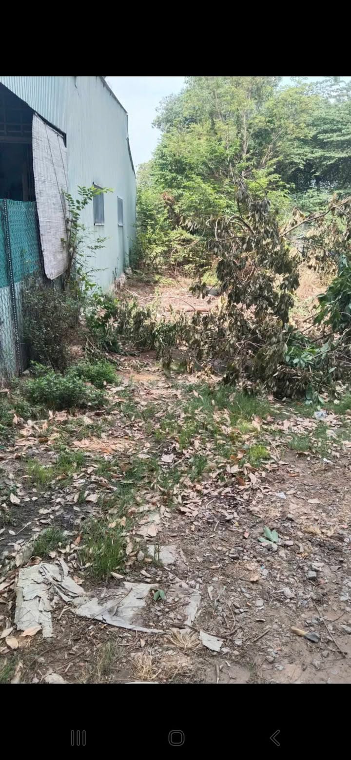 Đất nền khu phố 1, Phường Thái Hòa, 220m² giá 2.1 tỷ - Đầu tư sinh lời!