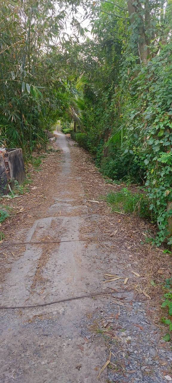 Đất nền Cần Thơ 1000m² giá 480 triệu - Sổ hồng chính chủ, gần Đại Học Võ Trường Toản!