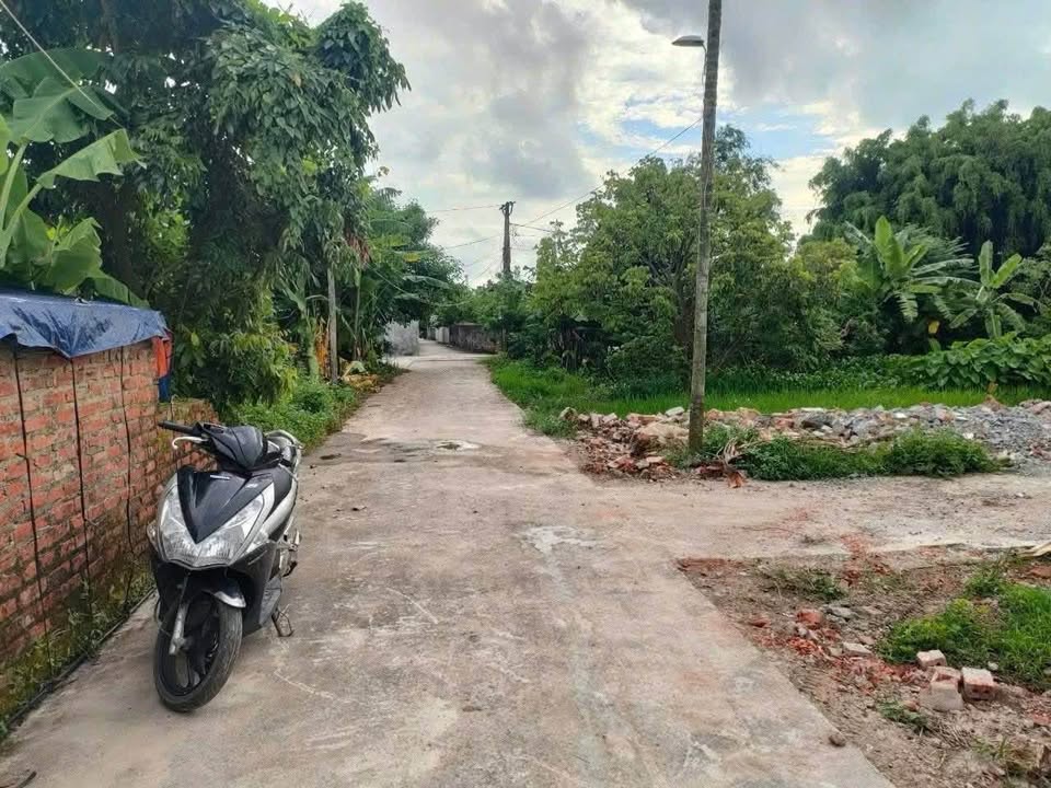 Đất nền xã Tây Tiền Hải 90m² giá chỉ 400 triệu - Đầu tư sinh lời ngay!