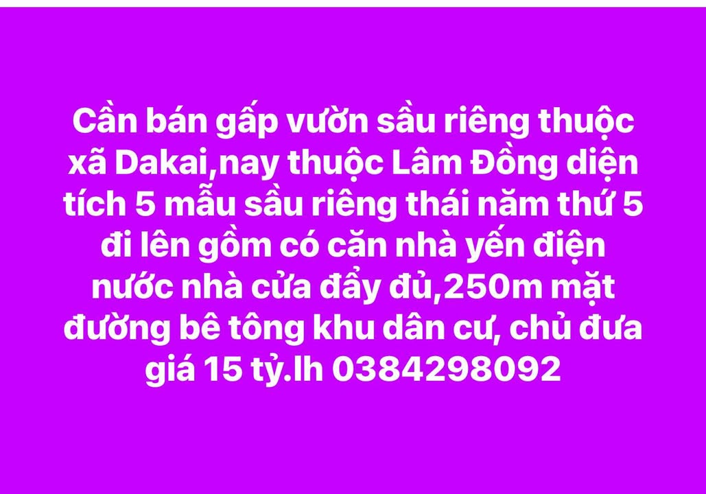 Vườn sầu riêng Thái 5 mẫu tại xã Dakai, Lâm Đồng giá 15 tỷ - Cơ hội đầu tư hấp dẫn!