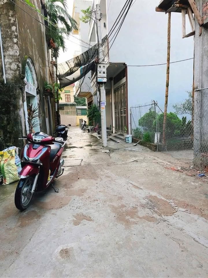 Đất thổ cư Trần Lãm 47m² giá 1 tỷ - Mặt tiền rộng, vị trí đắc địa!