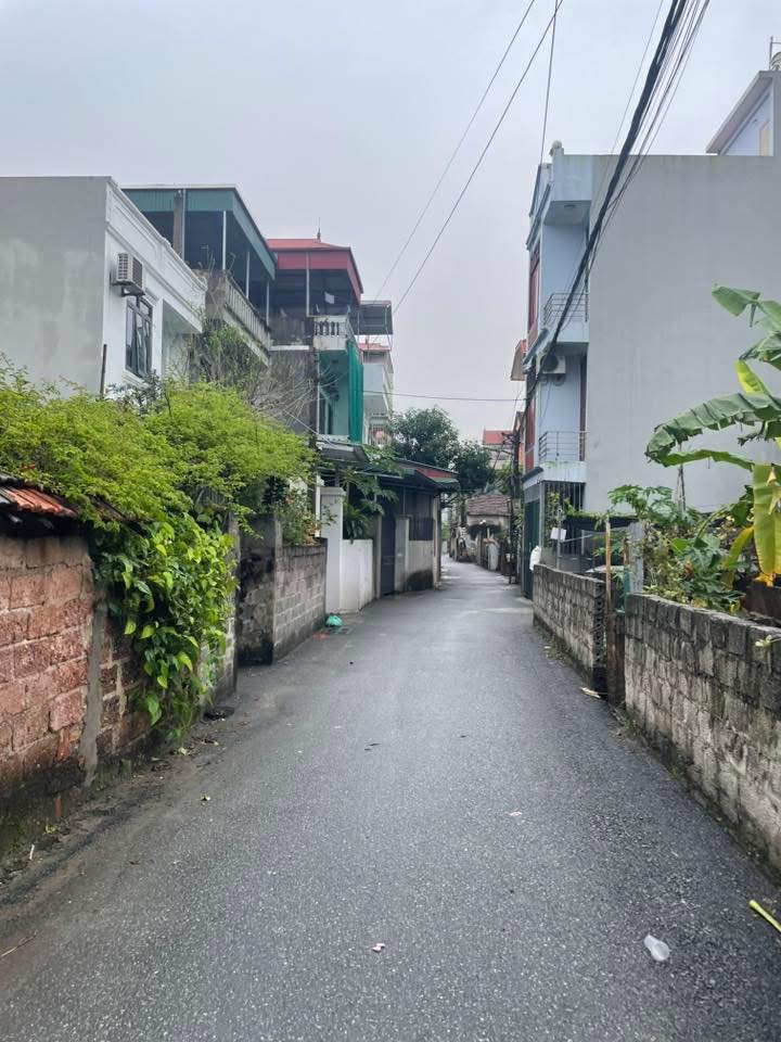 Đất nền góc 58m² tại Ngũ Hiệp, Thanh Trì - Giá hấp dẫn, sẵn nhà ở ngay!