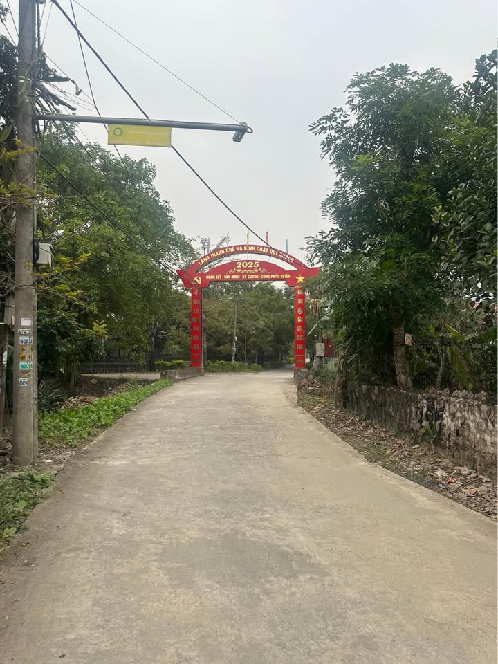 Đất nền đẹp tại Ninh Hòa, 150m² giá 3 tỷ - Tiềm năng phát triển lớn!