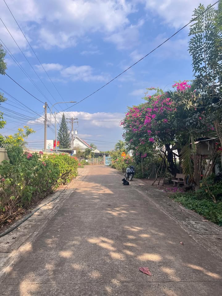 Đất nền 1.000m² tại Bảo Vinh A, Long Khánh chỉ 1.36 tỷ - Sổ đỏ chính chủ!