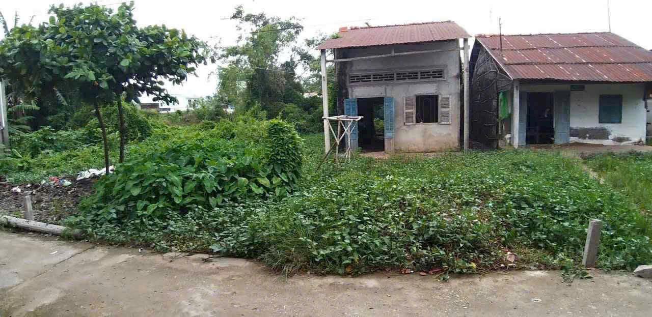 Đất nền hẻm 203 Nam Kỳ Khởi Nghĩa 100m² giá 500 triệu - Cơ hội đầu tư hấp dẫn!