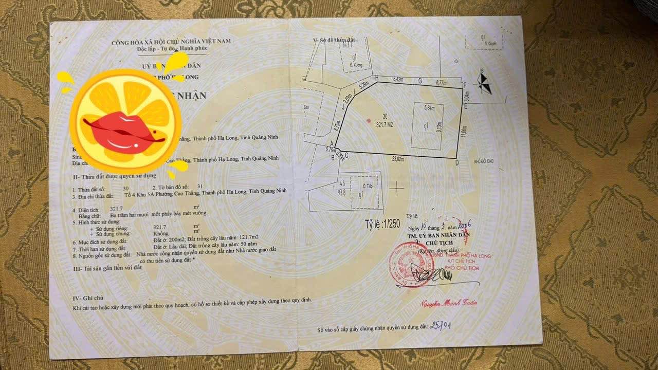 Đất nền phường Cao Thắng, Hạ Long 321.7m² giá chỉ dưới 10 triệu/m² - Cơ hội vàng trước Tết!