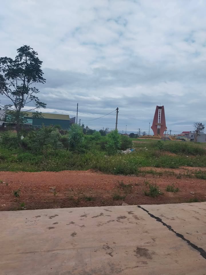 Đất nền đẹp khu phố Dương Liễu Nam, xã Bình Dương, 125m² giá 2.2 tỷ - Cơ hội đầu tư tuyệt vời!