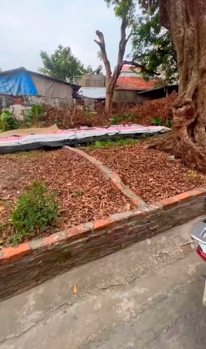 Đất nền thôn Nam Phú - Nam Phong 52m² giá 1.38 tỷ - Đầu tư sinh lời ngay!