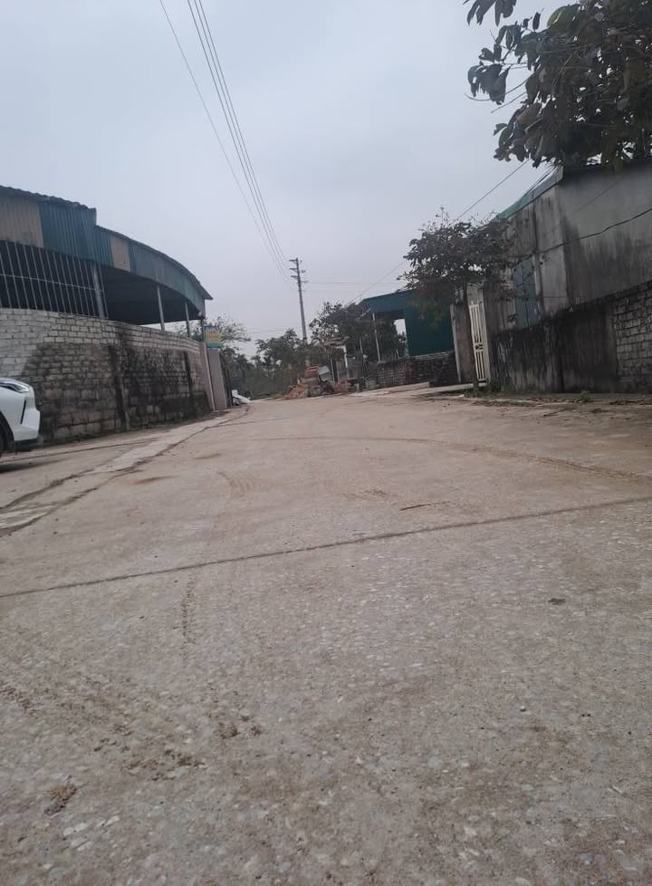 Đất nền TDP Yên Hợp, Phường Mai Hùng, 100m² giá chỉ 800 triệu - Cơ hội đầu tư tuyệt vời!