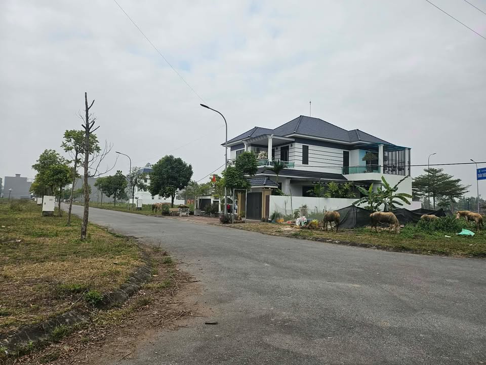 Đất nền KOSY Bắc Giang 75m² giá 3 tỷ - Sổ đỏ chính chủ, đầu tư sinh lời!