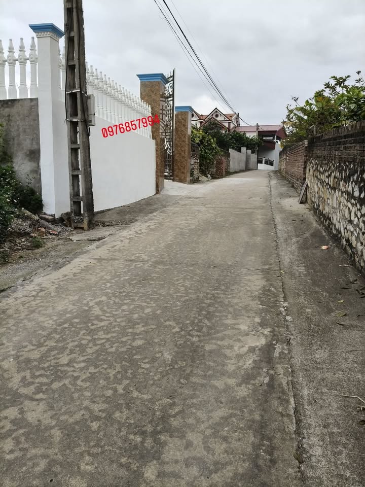 Đất nền thổ cư 280m² tại xã Lan Mẫu, Lục Nam, Bắc Giang chỉ từ 1.1 tỷ - Đầu tư sinh lời!