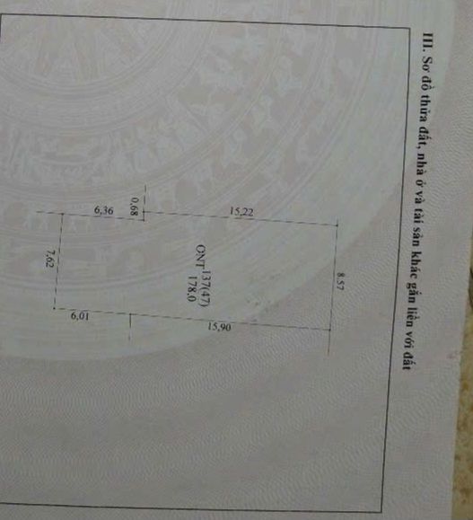 Nhà mặt tiền Đường Tâm Linh 293, Lục Nam 178m² - Sổ đỏ chính chủ, giá thỏa thuận!