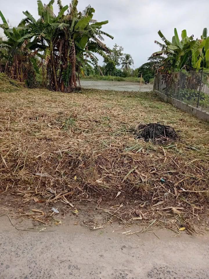 Đất nền khu Tân Hưng, Ô Môn, 200m² giá 900 triệu - View sông tuyệt đẹp!