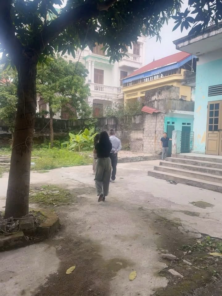 Đất nền Tiền Yên, Hoài Đức 353m² giá thỏa thuận - Đầu tư sinh lời ngay!