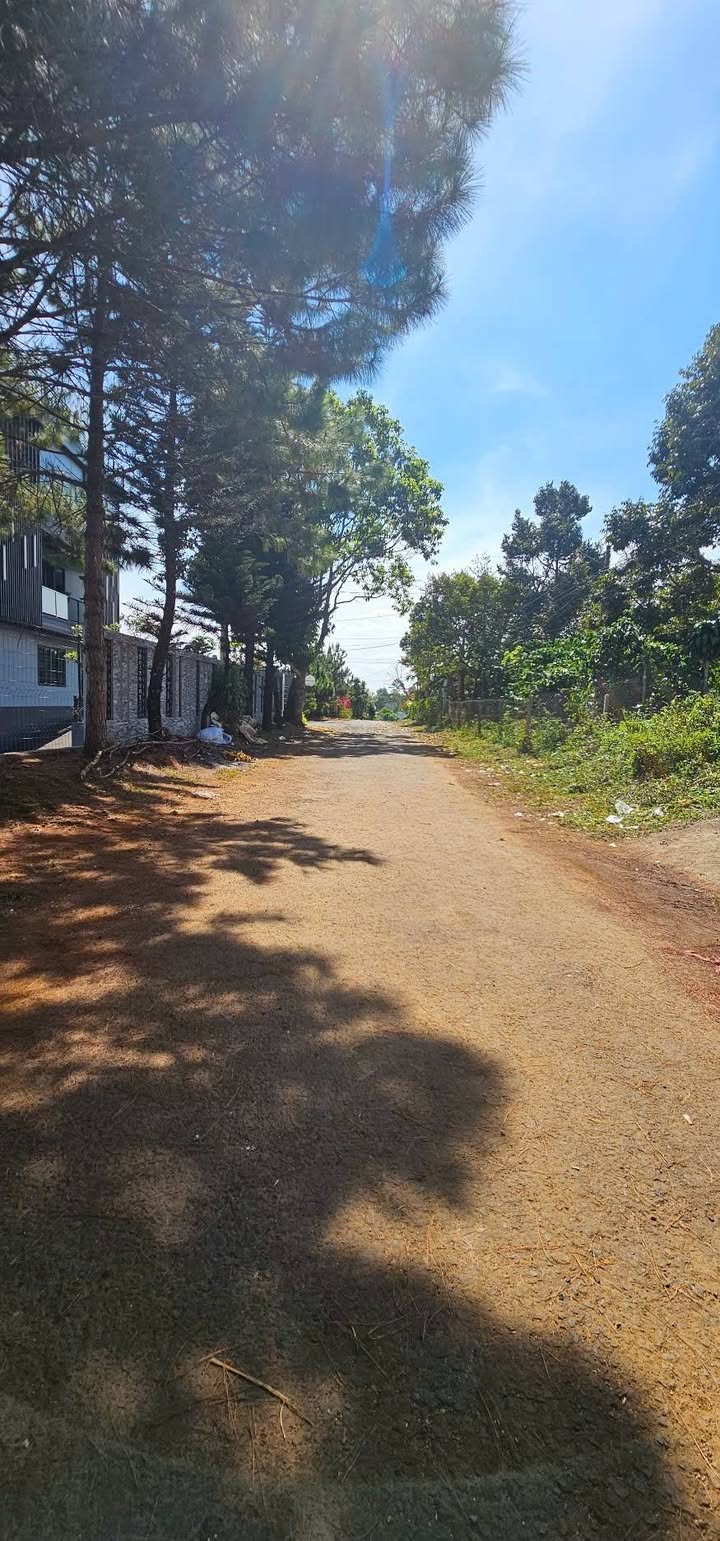 Nhà mặt tiền 123 Mạc Đỉnh Chi, Phường 2, Bảo Lộc 105m² - Sổ đỏ chính chủ, giá chỉ 1.55 tỷ!