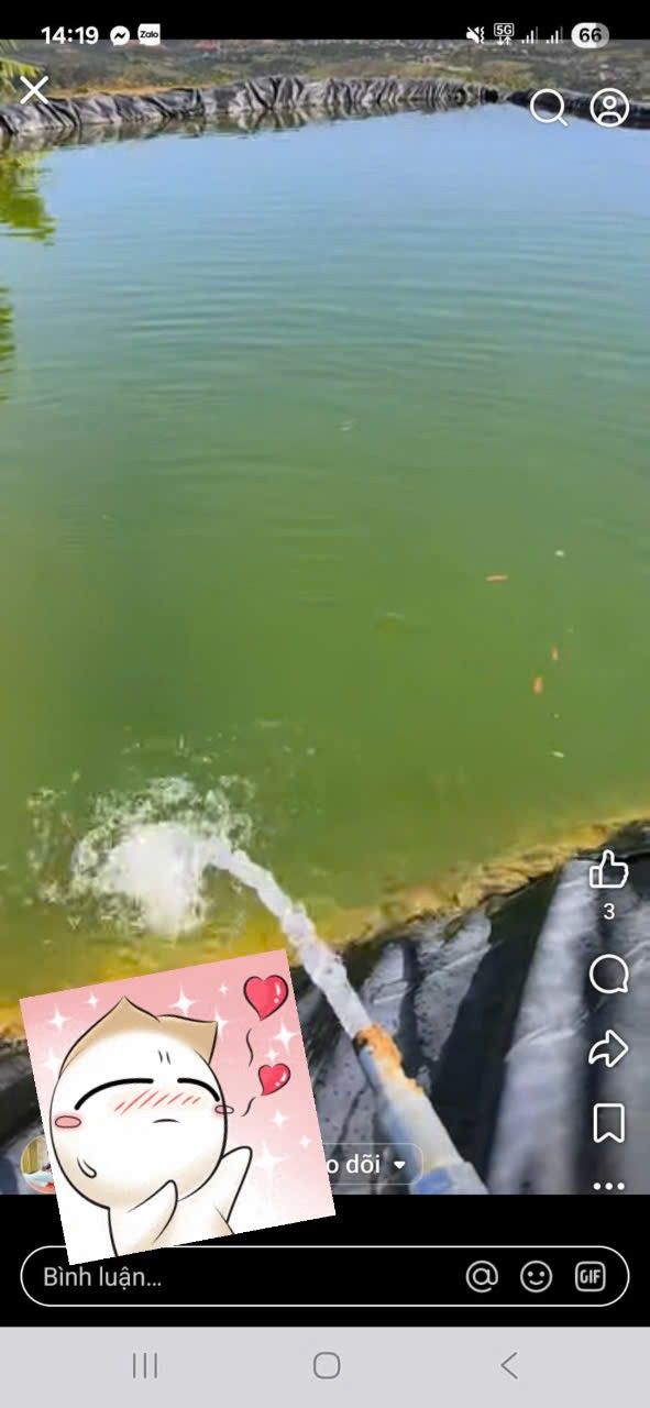 Farm 1ha3 tại thôn Bobla, Đam Rông, Lâm Đồng - Giá 1 tỷ, đất đẹp xanh tốt!