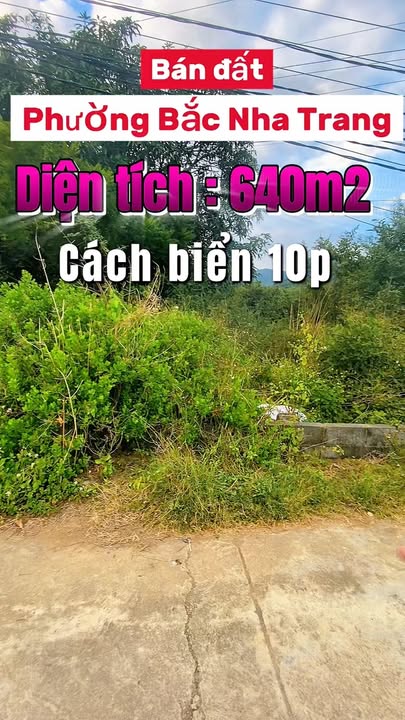 Đất nền Phường Vĩnh Hòa Nha Trang 640m² giá chỉ 2 tỷ - Sổ hồng đầy đủ!