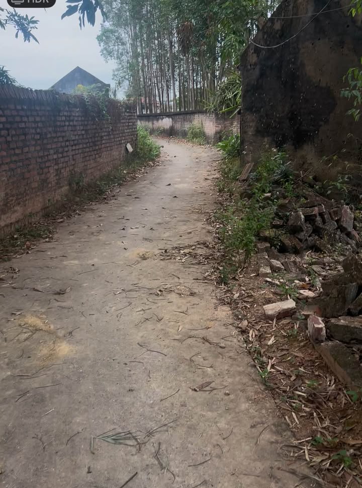 Đất Xã Tiên Nha, Huyện Lục Nam 700m² giá 2 tỷ - Cơ hội vàng cho nhà đầu tư!